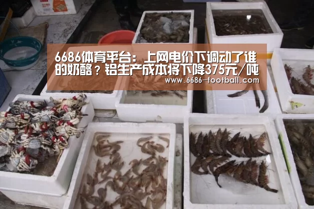 6686官网