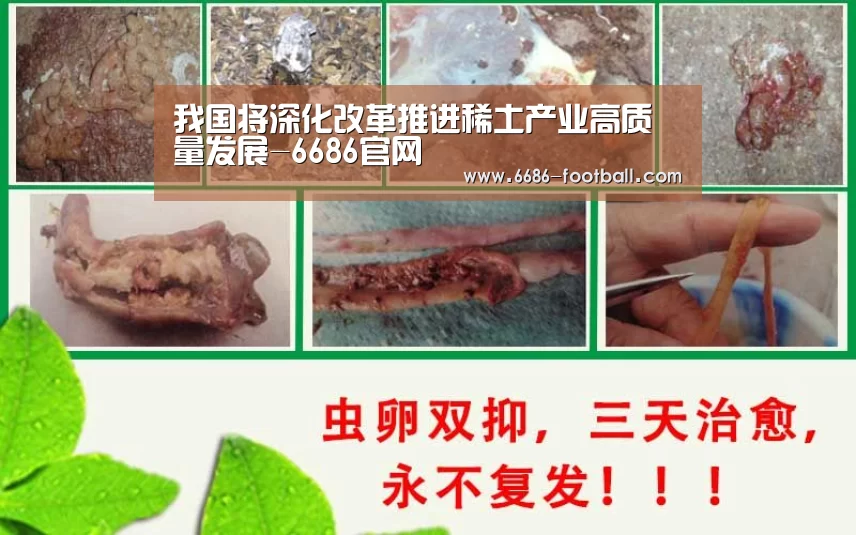 我国将深化改革推进稀土产业高质量发展-6686官网(图2) 6686登录入口