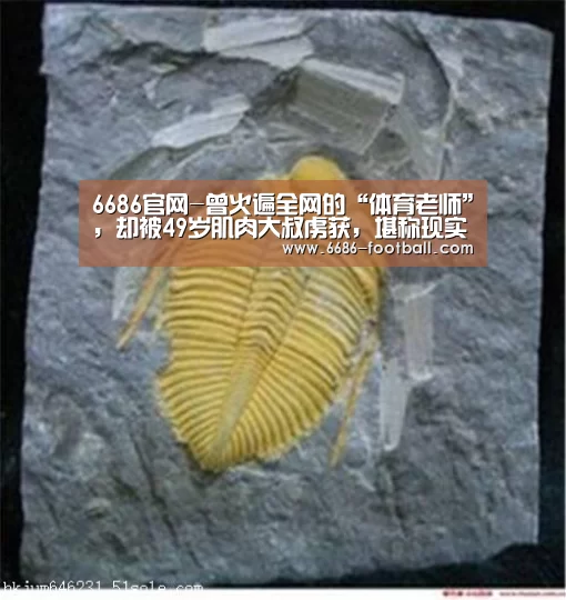 6686官网-曾火遍全网的“体育老师”,却被49岁肌肉大叔虏获,堪称现实版美女与野兽(图4) 6686官网