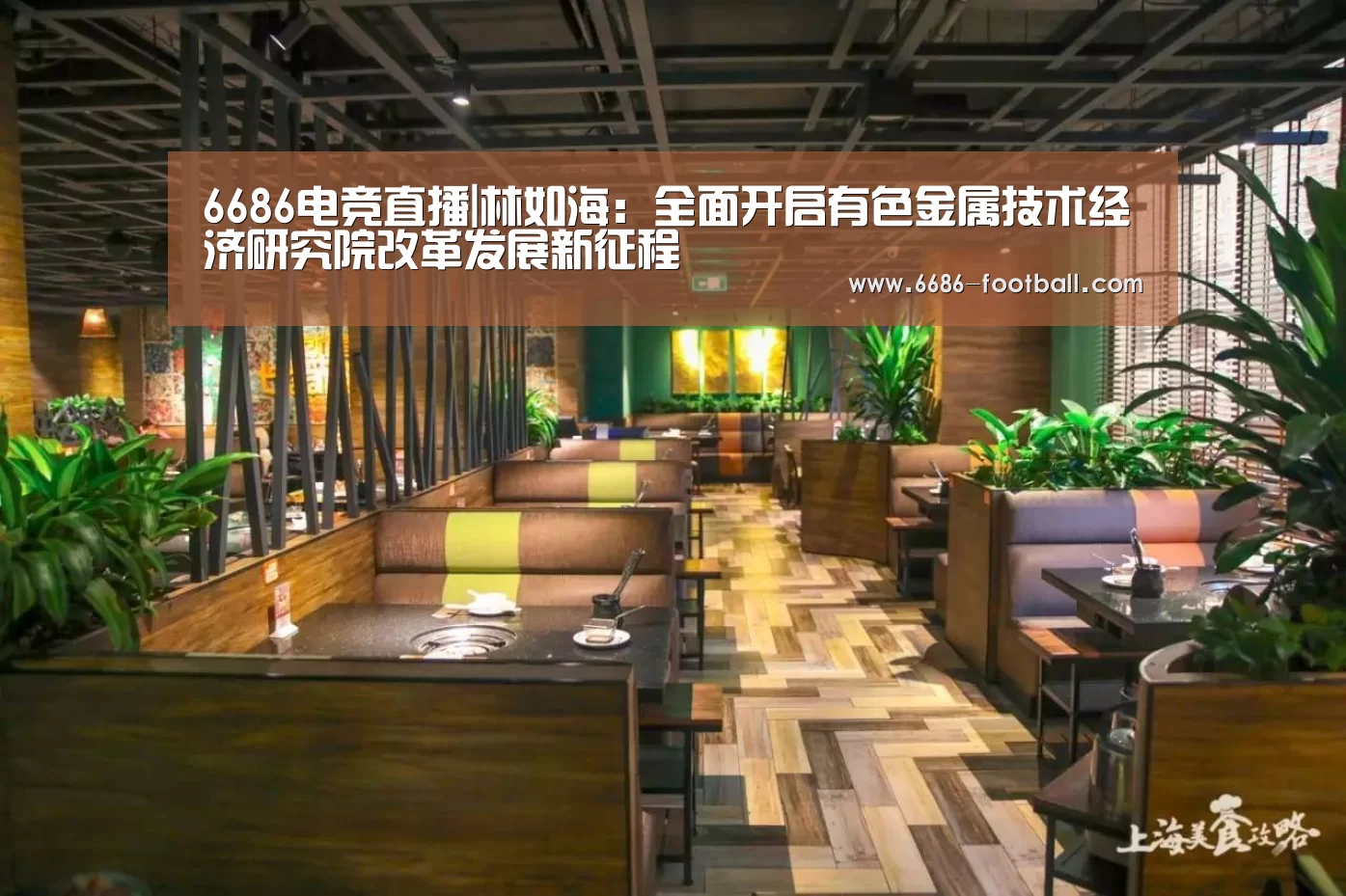 6686电竞直播|林如海:全面开启有色金属技术经济研究院改革发展新征程(图1) 6686电竞直播
