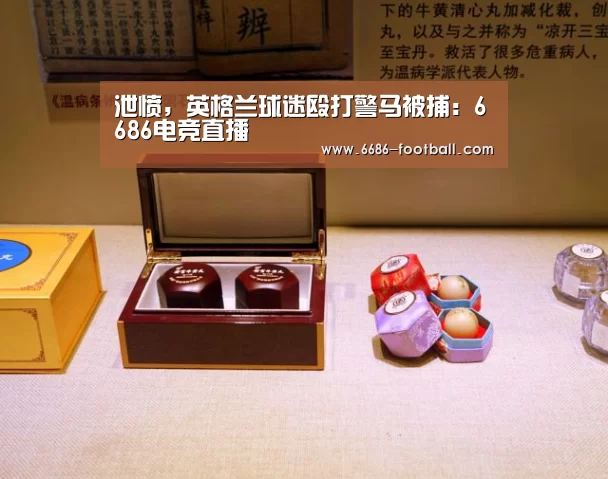 泄愤,英格兰球迷殴打警马被捕:6686电竞直播(图1) 6686体育平台